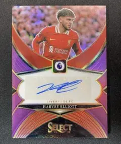 199枚限定　panini ハーヴェイ・エリオット　直筆サイン　リヴァプール