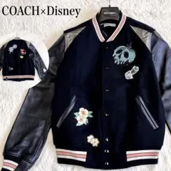❤️【廃盤完売品】COACH リバーシブル サテン スカジャン グリーン 花 