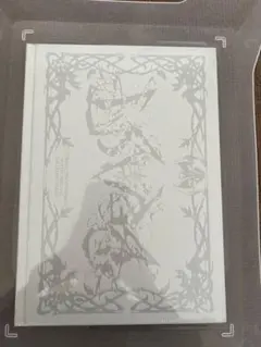 【新品未開封】ALD1 UNBREAKABLE:少年BEAST