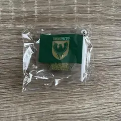 Jリーグクラブ フラッグキーチェーン　東京ヴェルディ