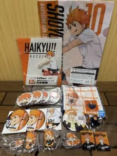 【日向翔陽】　日向いっぱいセット