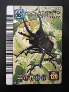 2026年最新】サンボンヅノカブトの人気アイテム - メルカリ