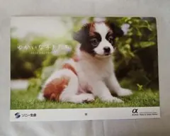 Item thumbnail for item 2c80356e-5961-4b3f-b2ef-e1fd8eff6f69