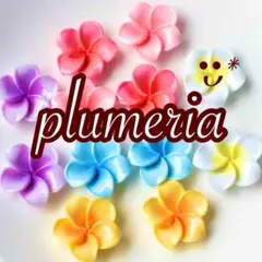 ６色よりお好きなカラーで3個♬プルメリアA、送料込み300円