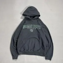 90s~00s GILDAN カレッジロゴ パーカー グレー系 USA古着 短丈