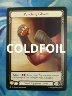 FAB 殴打のグローブ/Punching Gloves LGS EACF英語版