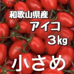 小さめ！新鮮！パリッと！和歌山県産ミニトマトアイコのサムネイル