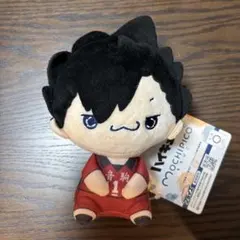 ハイキュー　もちぴこ　黒尾鉄郎