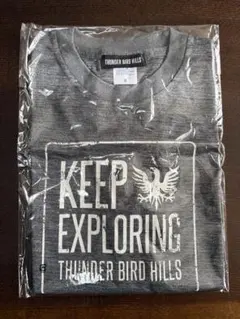 Item thumbnail for item b516bb99-8aaa-495c-aec3-9f91d432eaa0