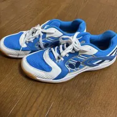 Item thumbnail for item c9f94a4a-fe9d-46ef-8581-b7ab80b7ced6