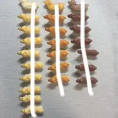 ダックスパン　　1個 35円