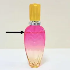 1996〜1998 GIVENCHY ORGANZA 50ml ヴィンテージ香水 - メルカリ