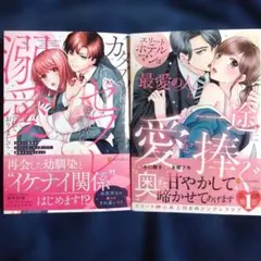 Item thumbnail for item 4deec864-a48a-4fe2-b8c6-b2376b749dfc