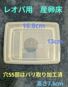レオパ、ニシアフ用 産卵床・ウェットボックス　穴55㍉のサムネイル