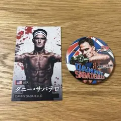 サバテロ　RIZIN PRIDE DREAM UFC