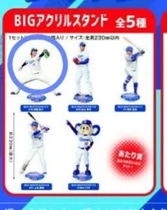 中日ドラゴンズ　2025全力応援!アクスタ　高橋宏斗
