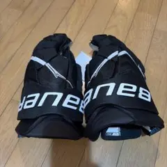 Item thumbnail for item 4276521f-ace5-4d5a-84b1-98dcc1e98ad7