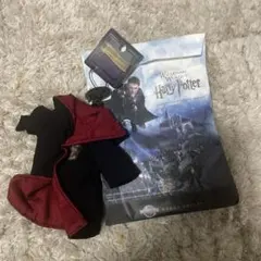 Item thumbnail for item 44514b15-b614-46bb-b487-f3840cfdc460