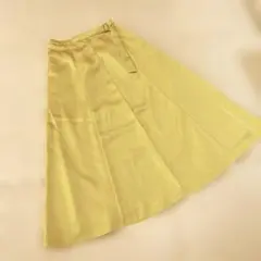 ANNA LUNA イエローサテンフレアスカートのサムネイル