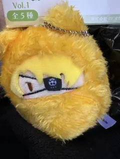 カラフルピーチ　くるみたぴぬい　たっつん　ぬいぐるみ