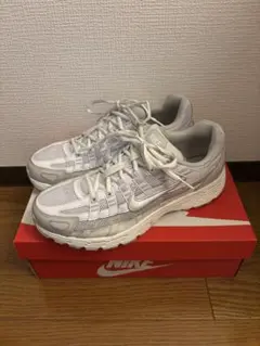 か*め様 NIKE P-6000