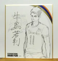 ハイキュー!!　色紙コレクション
