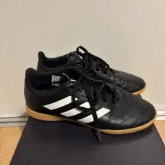 Item thumbnail for item 4717de77-b8b3-4434-958c-0bbe47a84f8f