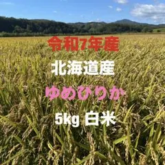 北海道産ゆめぴりか5キロ 白米のサムネイル