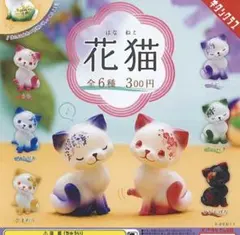 花猫 ガチャ カプセルトイ ひまわり　ひいらぎ　ふじ×2 セット