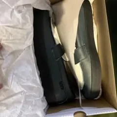 vans skateboards loafer