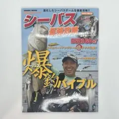 シーバス最強攻略　　送料無料