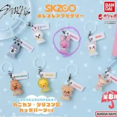 Stray Kids めじるし アクセサリー skzoo トゥエッキ　チャンビン