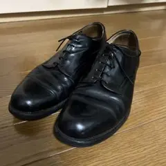 Item thumbnail for item be07e666-e252-48fa-b3f8-196f6aec5f0a