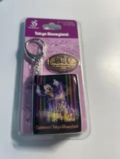 東京ディズニーランド35周年記念 スーベニアメダルとミニファイル