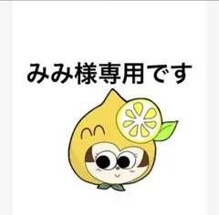こちらはみみ様専用です