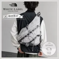 THE NORTH FACE 韓国限定 ELECTRONスリングバッグ Iグレーのサムネイル
