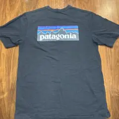 patagonia パタゴニア 古着 Tシャツ ブラック 黒