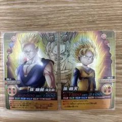 2026年最新】データカードダスドラゴンボール 孫悟飯の人気アイテム