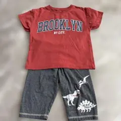 Tシャツと恐竜柄パンツセット