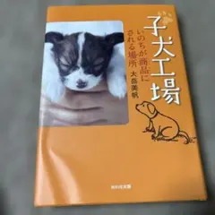 子犬工場 いのちが商品にされる場所