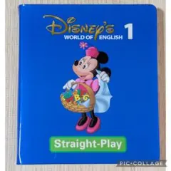 2026年最新】ストレートプレイdvd 新子役の人気アイテム - メルカリ