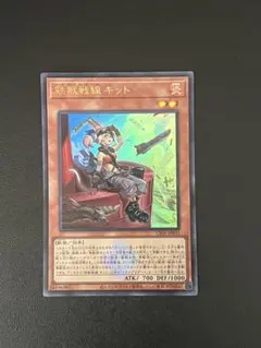 トライブリゲード