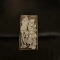 ✨️超美品✨️topologie ショルダーストラップ