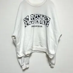 Item thumbnail for item 064b1704-0e4a-4835-b071-70c83c4fb482