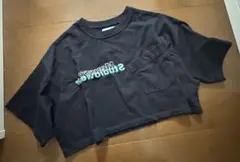 MOUSSY STUDIOWEAR クロップドTシャツ Mサイズ ブラック