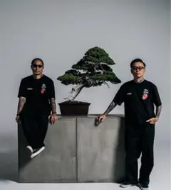 新品未開封 MIYABI TRADMAN'S Indigo(インディゴ, F) 新品未開封 MIYABI TRADMAN´S Indigo(インディゴ, F)