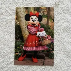 東京ディズニーランド　ポストカード　ミニー