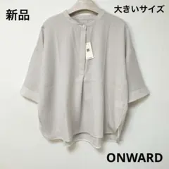 大きいサイズ！新品Airpapel/ワールド社/リネン100ブラウス17 - メルカリ
