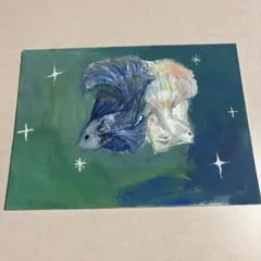 キャンパス　　ベタ(熱帯魚)