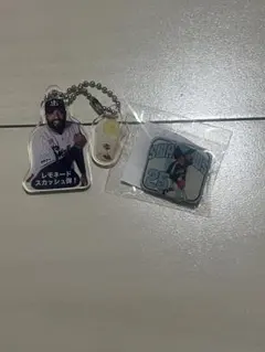 東京ヤクルトスワローズ ドミンゴ・サンタナ アクリルキーホルダー 缶バッジ